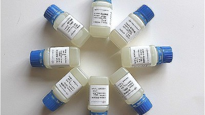 關于海水中防閃銹劑對不銹鋼的保護